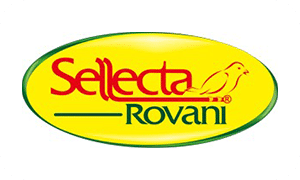 movva-engenharia-logo-cumberland-3s-sellecta-rovani